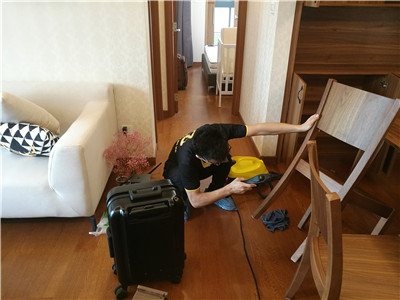 ݼȩżڹƽƽڴ